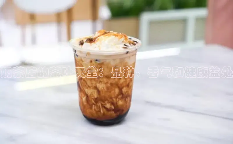 NGNG28官网登录颐驰 06