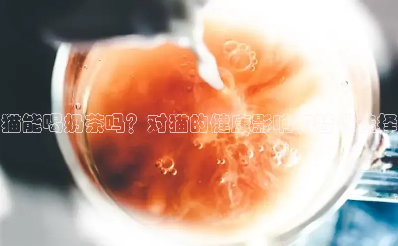 南宫ng注册百度教育