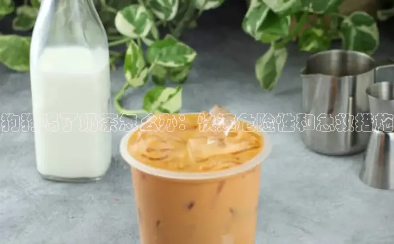 NG28·南宫体育视觉中国